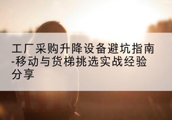 新邵移动式升降机怎么选-工厂采购升降设备避坑指南-移动与货梯挑选实战经验分享