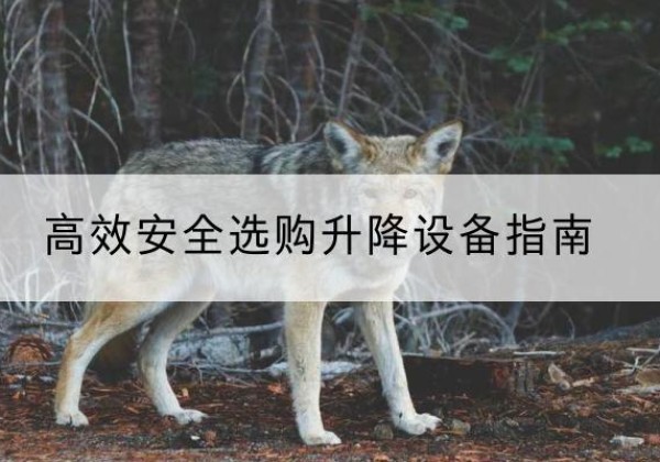 新邵升降货梯厂家推荐-*安全选购升降设备指南