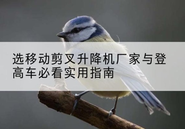 新邵电动升降机厂家-选移动剪叉升降机厂家与登高车必看实用指南