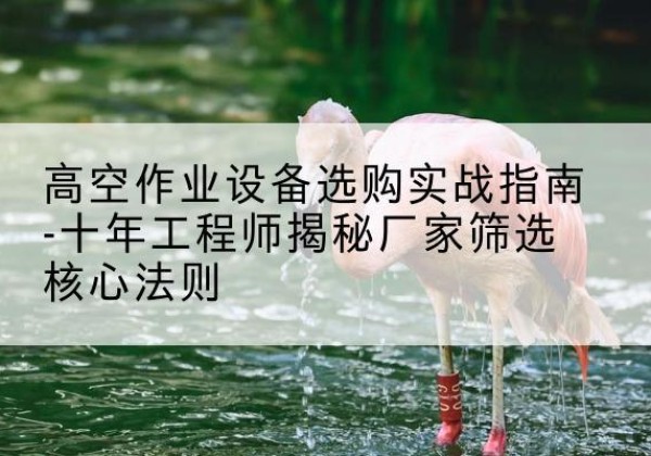 新邵剪叉式升降机厂家-高空作业设备选购实战指南-十年工程师揭秘厂家筛选核心法则